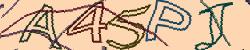 Darstellung des Captcha-Codes.