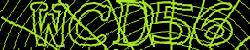 Darstellung des Captcha-Codes.