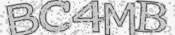 Darstellung des Captcha-Codes.