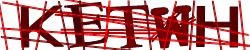 Darstellung des Captcha-Codes.