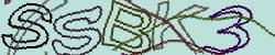 Darstellung des Captcha-Codes.