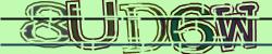 Darstellung des Captcha-Codes.