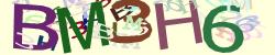 Darstellung des Captcha-Codes.