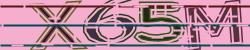 Darstellung des Captcha-Codes.
