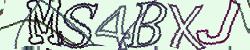 Darstellung des Captcha-Codes.