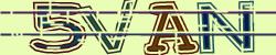 Darstellung des Captcha-Codes.