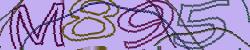 Darstellung des Captcha-Codes.
