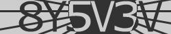 Darstellung des Captcha-Codes.