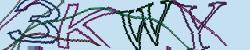 Darstellung des Captcha-Codes.