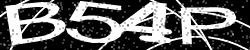 Darstellung des Captcha-Codes.