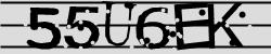 Darstellung des Captcha-Codes.