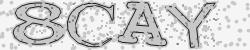 Darstellung des Captcha-Codes.