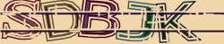 Darstellung des Captcha-Codes.