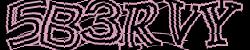 Darstellung des Captcha-Codes.