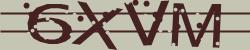 Darstellung des Captcha-Codes.