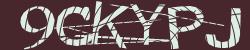 Darstellung des Captcha-Codes.