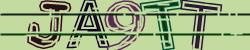 Darstellung des Captcha-Codes.