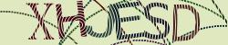 Darstellung des Captcha-Codes.