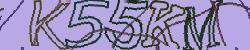 Darstellung des Captcha-Codes.