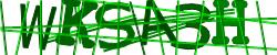 Darstellung des Captcha-Codes.