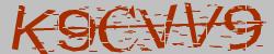 Darstellung des Captcha-Codes.
