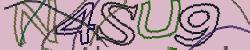 Darstellung des Captcha-Codes.