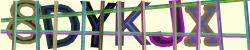 Darstellung des Captcha-Codes.