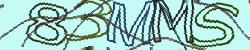 Darstellung des Captcha-Codes.