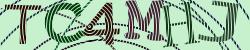 Darstellung des Captcha-Codes.