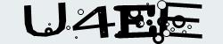 Darstellung des Captcha-Codes.