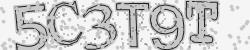 Darstellung des Captcha-Codes.
