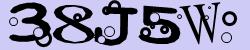 Darstellung des Captcha-Codes.