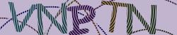 Darstellung des Captcha-Codes.