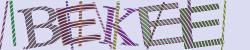 Darstellung des Captcha-Codes.
