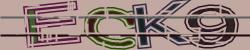 Darstellung des Captcha-Codes.