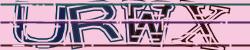 Darstellung des Captcha-Codes.