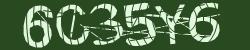Darstellung des Captcha-Codes.