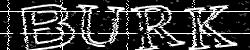 Darstellung des Captcha-Codes.