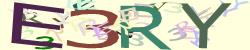 Darstellung des Captcha-Codes.